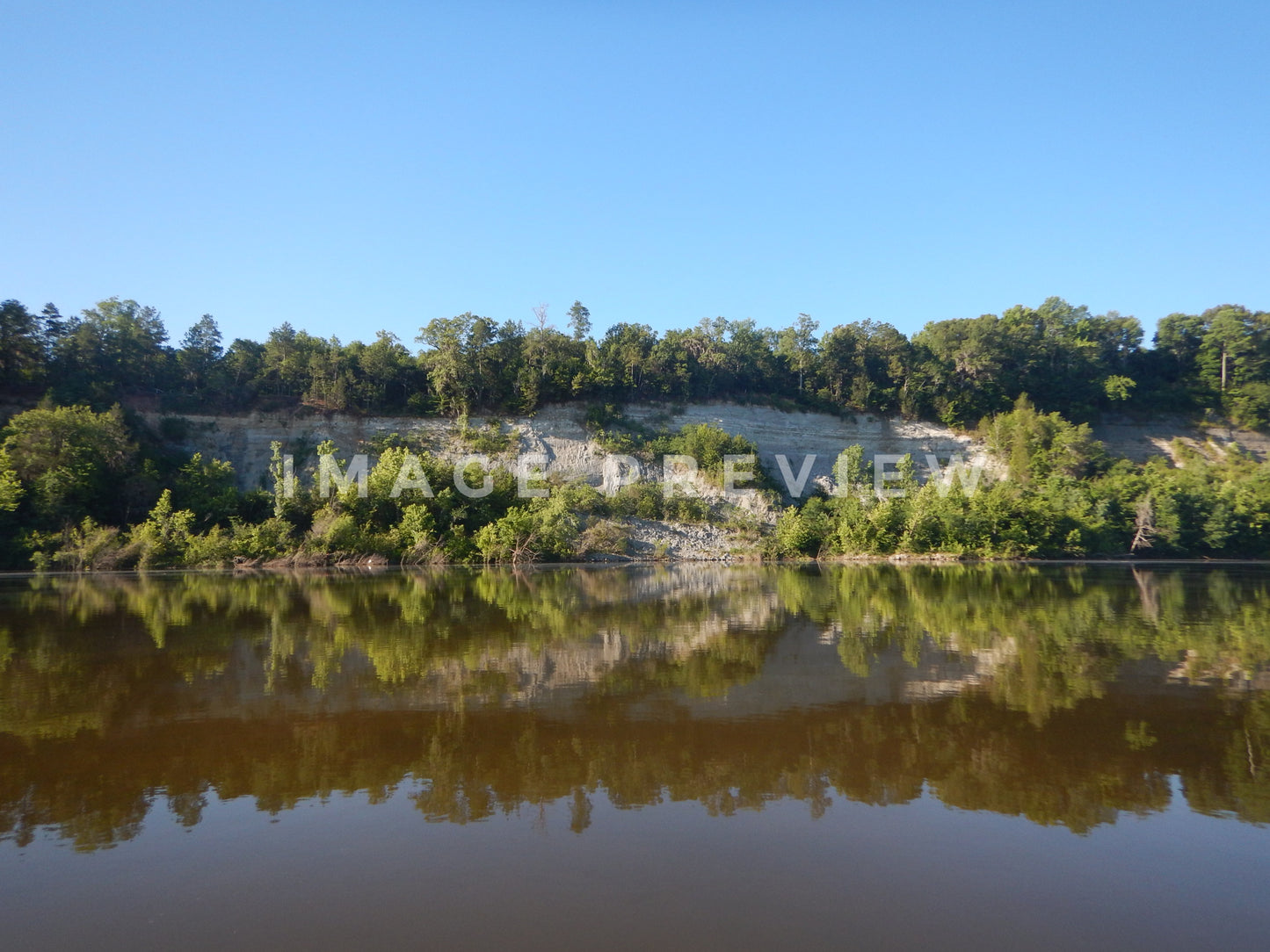 Photo - Cliffs along banks of the Alabama River