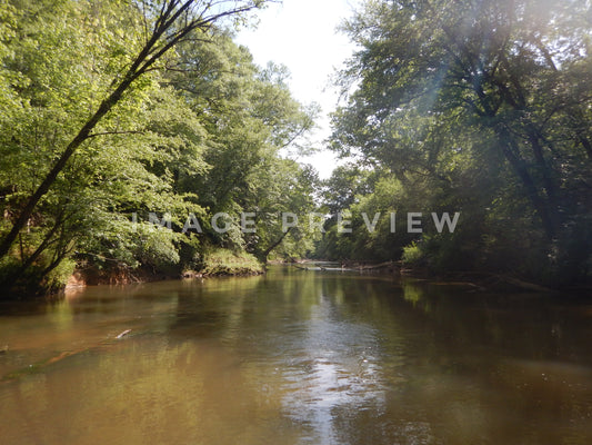 Photo - Peaceful remote river in deep South forest