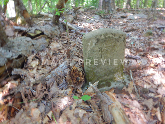 Photo - Old gravesite in abandoned cemetery