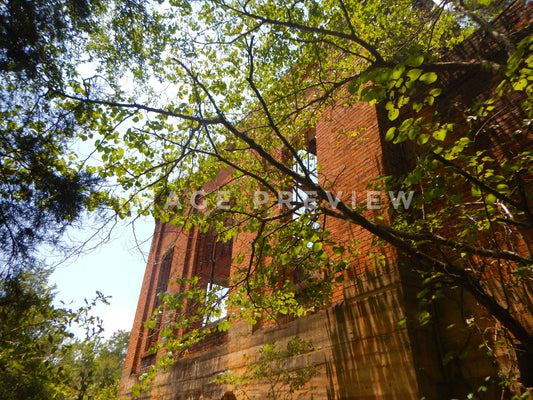 Photo - Old power station factory ruin in Columbia, Alabama