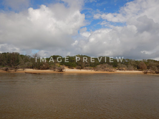 Photo - Coastal shoreline in wilderness area in South Carolina