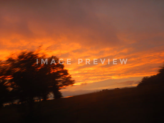 Photo - Motion blur of sunrise behind field and trees