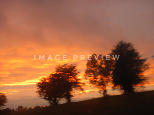 Photo - Motion blur of sunrise behind trees