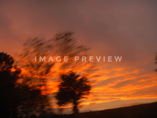 Photo - Motion blur of sunrise with clouds behind trees