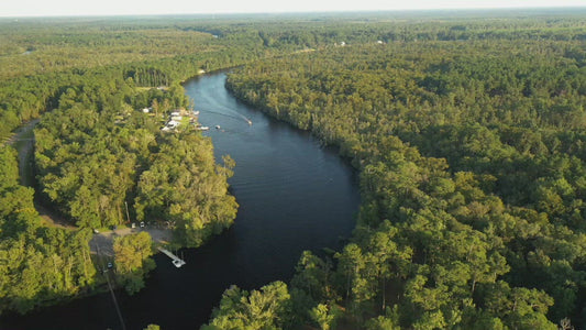 Video - Black river in South Carolina at Browns Ferry landing in late summer afternoon light