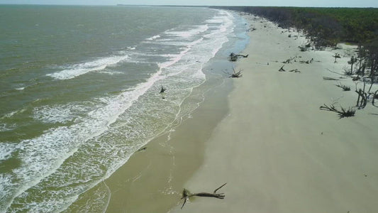 Video - Aerial of Capers barrier island beach that protects South Carolina coastline