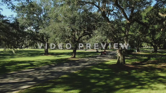 Video - Golf Course country club golf carts drive by live oak trees