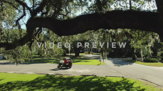 Video - Golf Course country club golf carts drive past oak tree